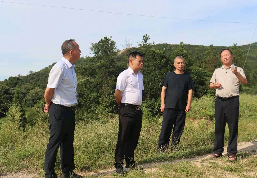 成刚深入五里镇调研基层治理和产业发展工作